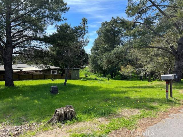 Cambria, CA 93428,0 Benson Avenue