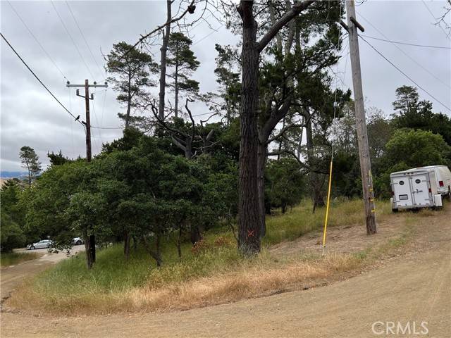 Cambria, CA 93428,0 Norton Lane