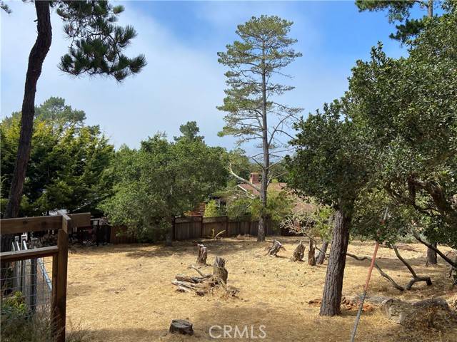 Cambria, CA 93428,0 Richard Avenue