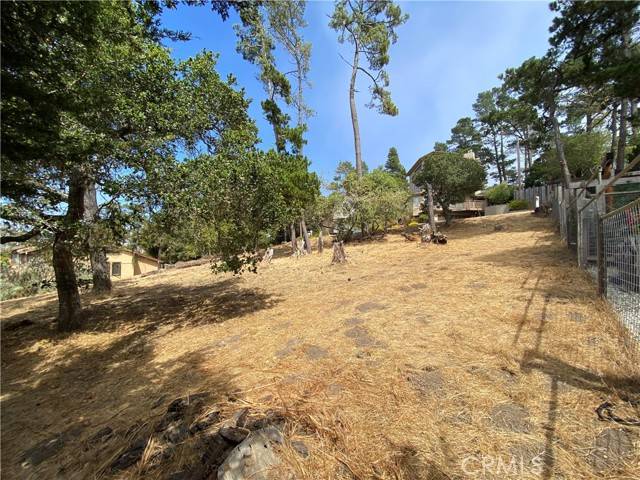 Cambria, CA 93428,0 Richard Avenue