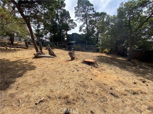 Cambria, CA 93428,0 Richard Avenue