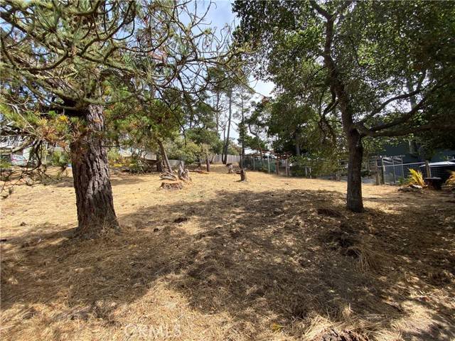 Cambria, CA 93428,0 Richard Avenue