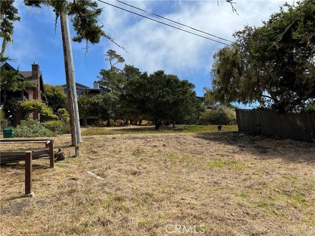 Cambria, CA 93428,0 Newhall Avenue