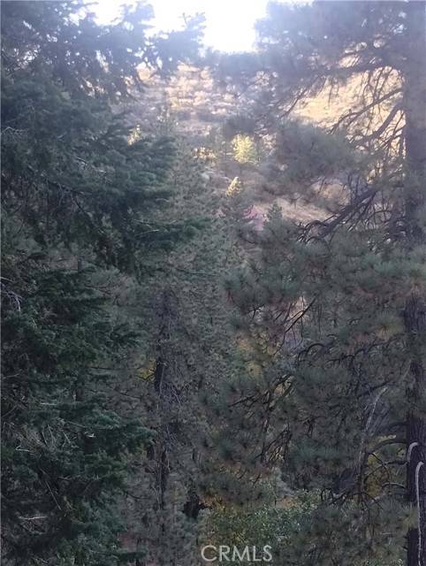 Tehachapi, CA 93561,0 St Moritz Drive