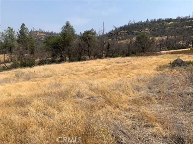 Butte Valley, CA 95965,3923 Dry Creek Road