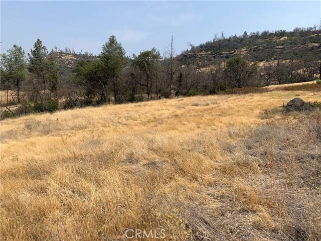 Butte Valley, CA 95965,3923 Dry Creek Road