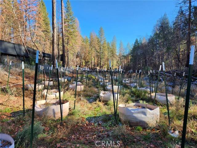 Berry Creek, CA 95916,0 Mann Avenue