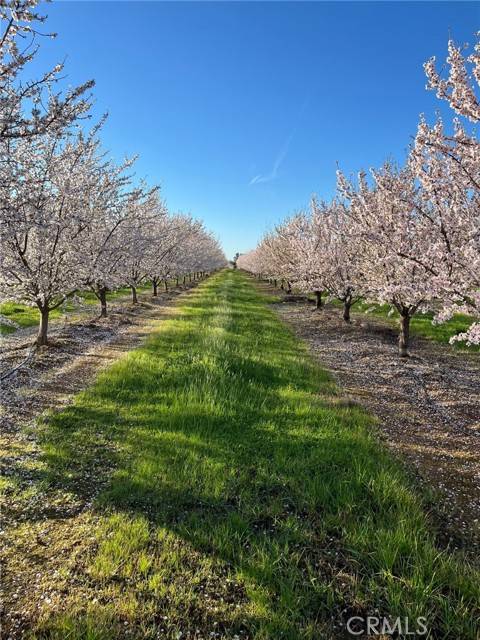 Corning, CA 96021,22085 FINNELL