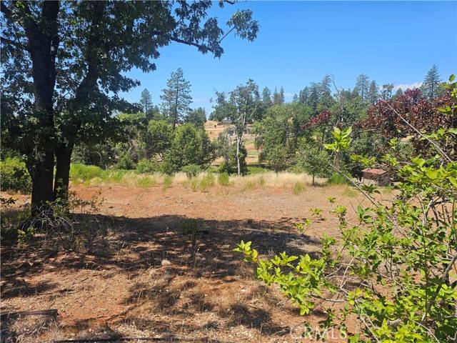 Paradise, CA 95969,5247 Falcons View Court
