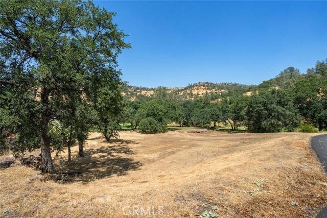 Chico, CA 95928,3568 Shallow Springs Terrace