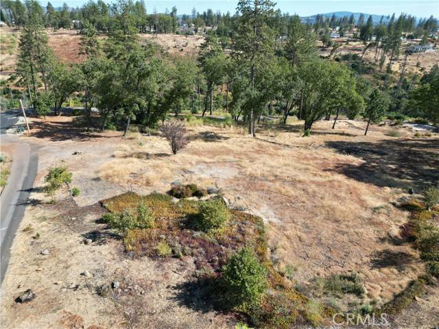 Paradise, CA 95969,1690 Bend Lane