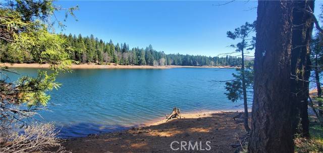 Magalia, CA 95954,7070 Cedar Pines Trail