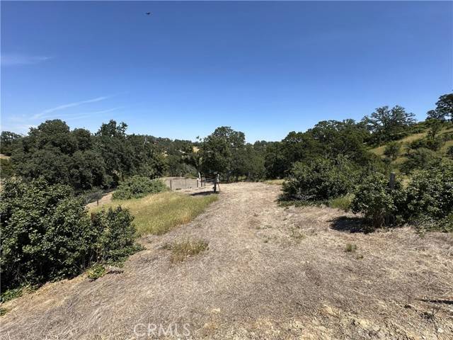 Corning, CA 96021,6920 REMUNDA