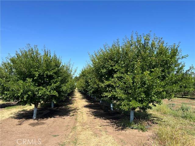 Red Bluff, CA 96080,0 Volcano Way