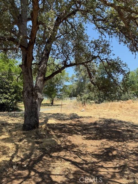 Oroville, CA 95966,2673 Foothill Boulevard