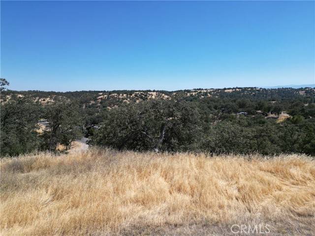 Corning, CA 96021,6875 Remunda Road