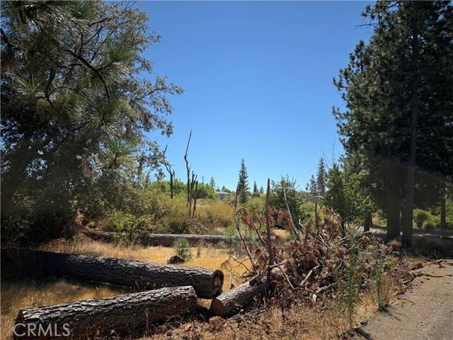 Magalia, CA 95954,6710 Ishi Drive