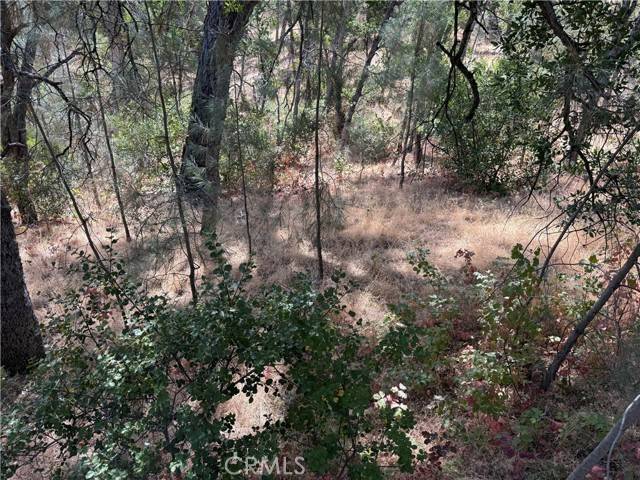 Corning, CA 96021,16305 Hillcrest Drive