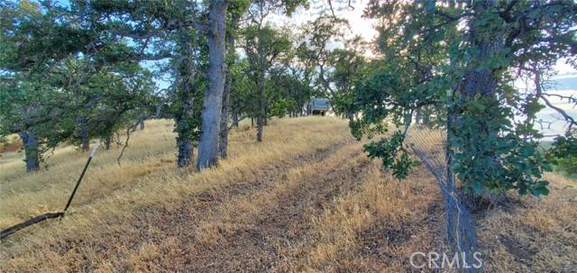 Corning, CA 96021,6915 Remunda Road