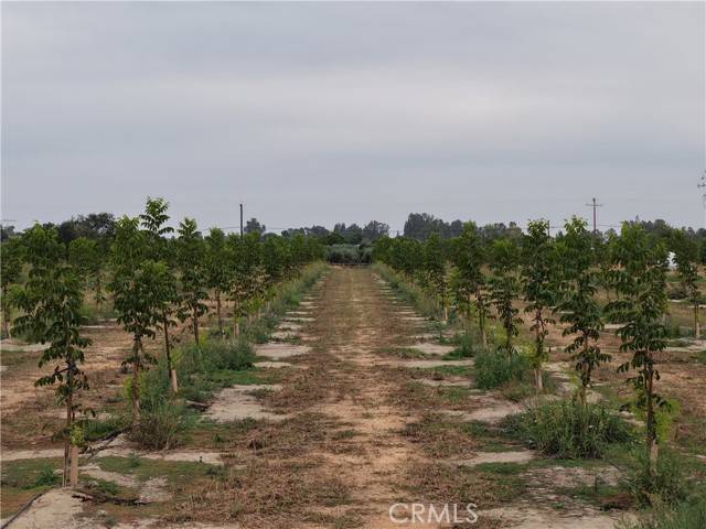 Corning, CA 96021,0 Loleta