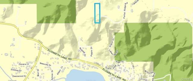 Lake Hughes, CA 93532,0 Vac/Vic Clear Canyon Rd/Fairmo Road