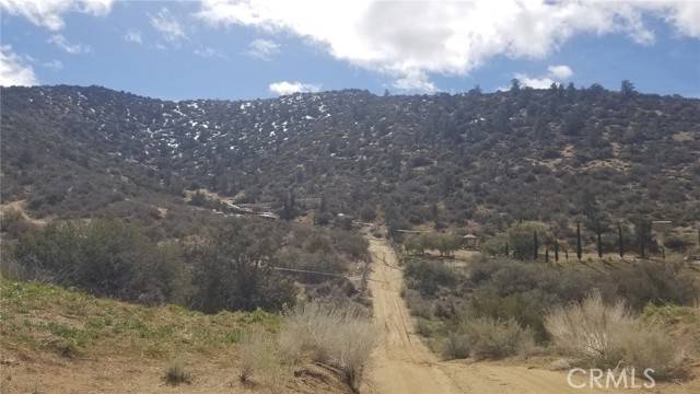 Acton, CA 91350,0 Tiger Mtn / Alluvium