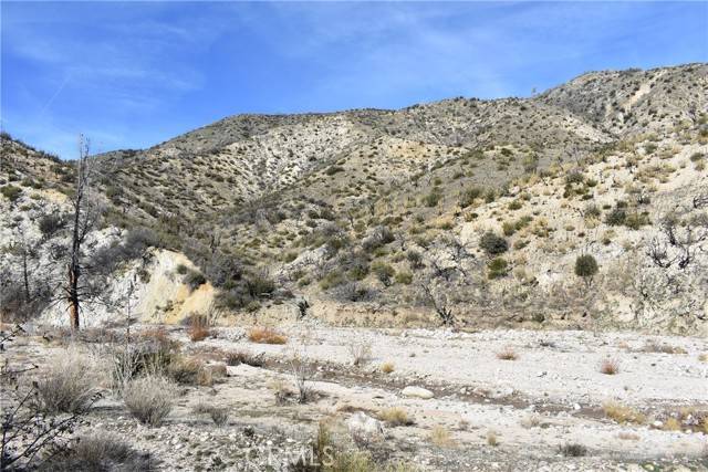 Lake Hughes, CA 93532,20811 Pine Canyon Road