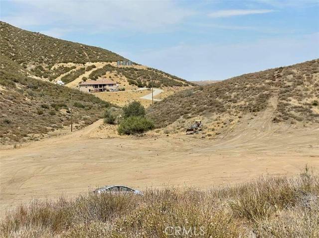 Leona Valley, CA 93551,38351 Bouquet Canyon Road