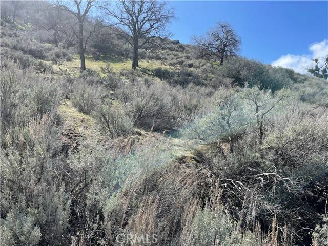 Tehachapi, CA 93561,0 Shut Out Place