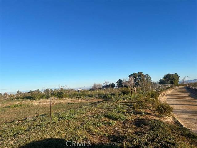 Llano, CA 93544,0 Vac/Cor Avenue W4 Drt /175