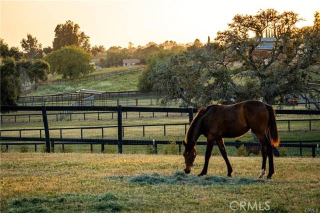 Santa Ynez, CA 93460,1977 W San Marcos Pass Road