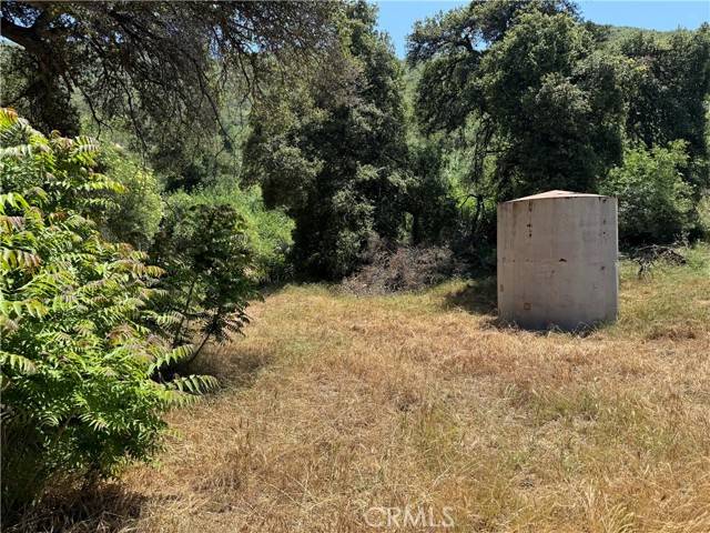 Green Valley, CA 91390,0 San Francisquito Canyon Road