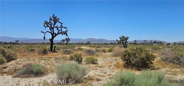 Palmdale, CA 93550,0 E Palmdale Boulevard