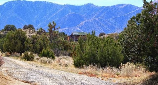 Pearblossom, CA 93553,13138 Fort Tejon Road