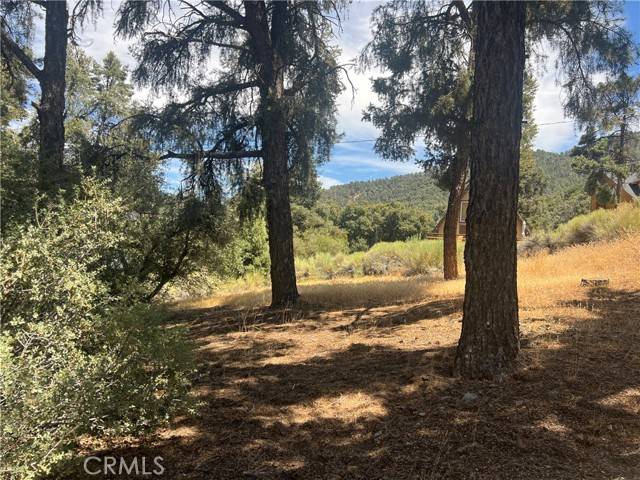 Pine Mtn Club, CA 93225,2721 Bryce Court