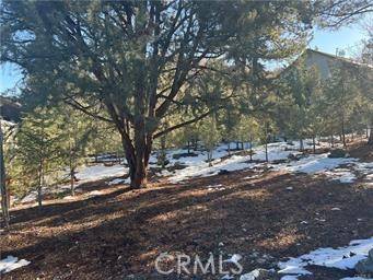 Pine Mtn Club, CA 93222,1604 Linden Drive