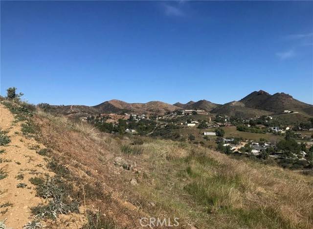 Agua Dulce, CA 91350,0 Vac/Vic Willow Ln/ Woolsox Road