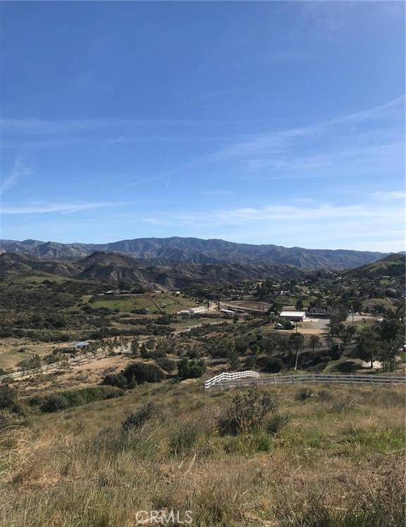 Agua Dulce, CA 91350,0 Vac/Vic Willow Ln/ Woolsox Road