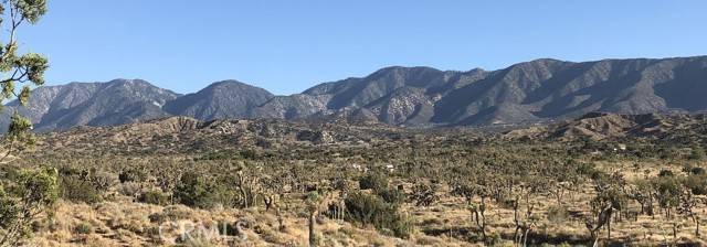 Pearblossom, CA 93553,11640 Fort Tejon Road