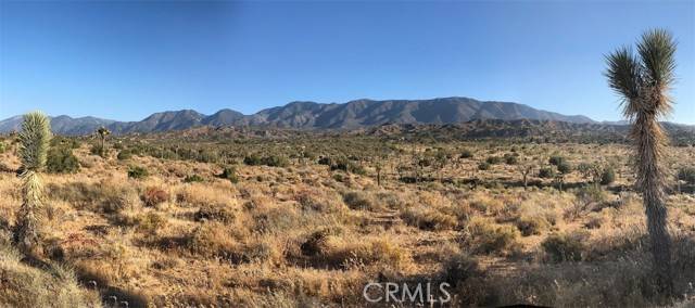 Pearblossom, CA 93553,11640 Fort Tejon Road