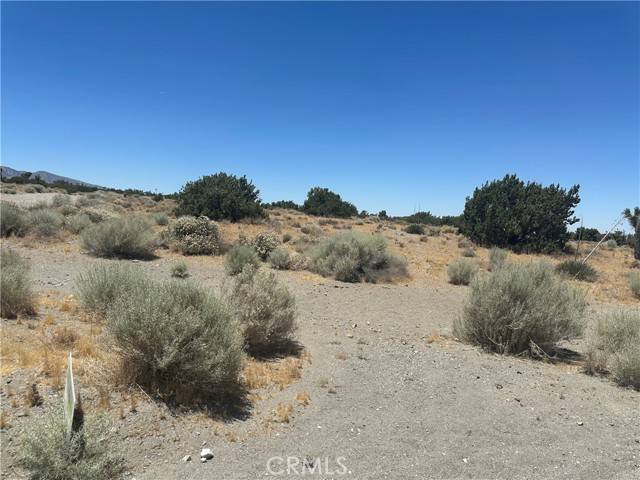 Phelan, CA 92371,0 Beekley Road