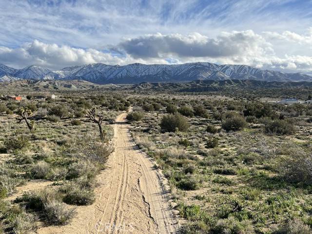 Pearblossom, CA 93553,0 Vac/Fort Tejon Pav /Vic Avenue