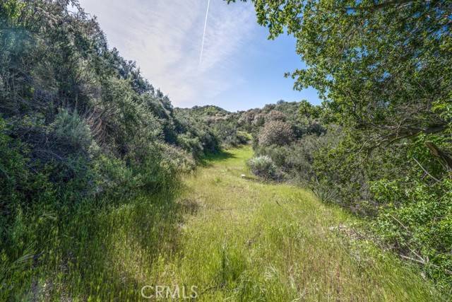 Canyon Country (santa Clarita), CA 91387,8 Mountain Park Road