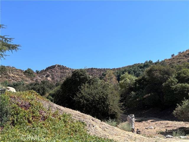 Tujunga (los Angeles), CA 91402,11500 Mount Gleason