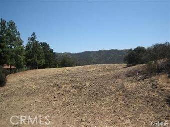 Calabasas, CA 91302,22800 Mulholland