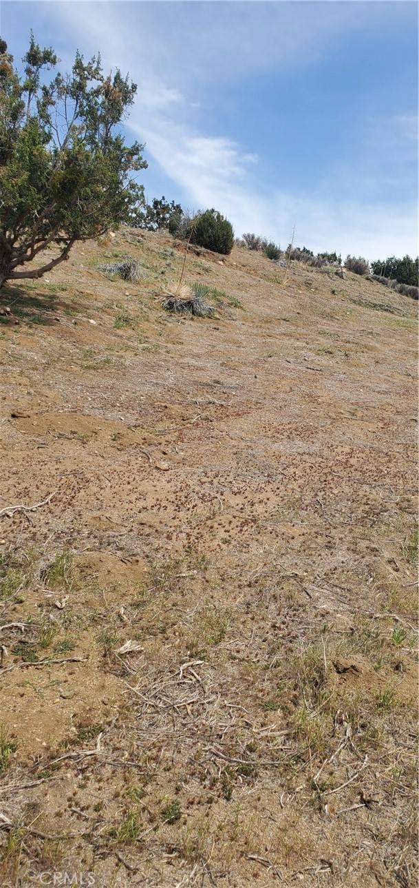 Acton, CA 93550,0 Soledad Pass/Hillside Drive