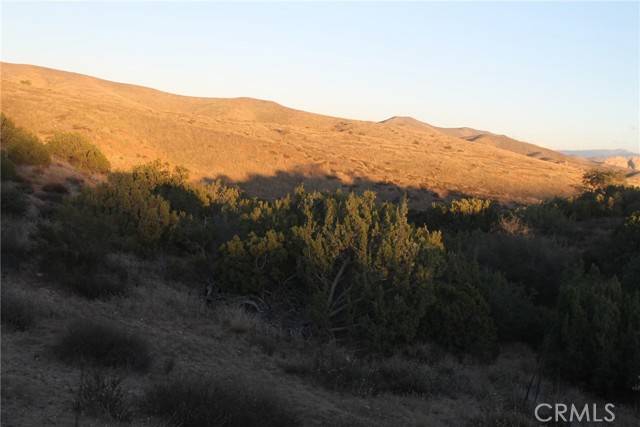 Agua Dulce, CA 91390,0 Vac/Windrush Rd/Vic Tatina Lane