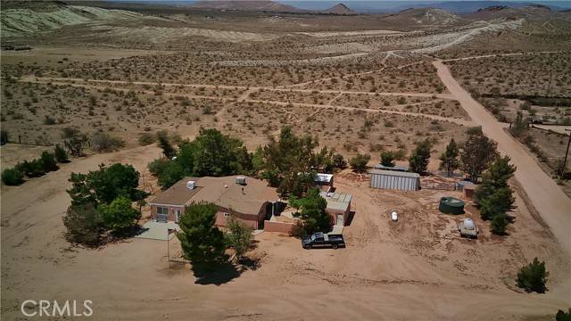 Rosamond, CA 93560,3840 Lupine