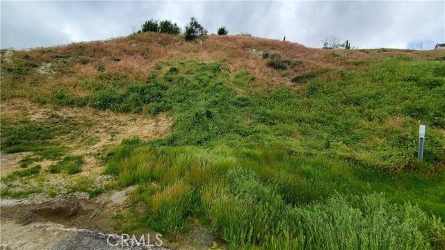 Elizabeth Lake, CA 93532,0 Cutwood Rd