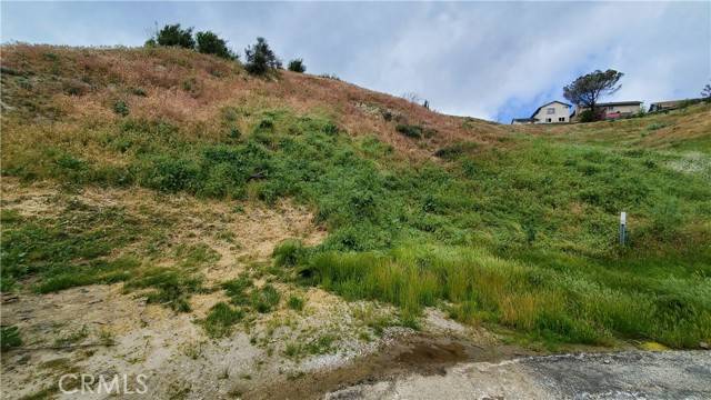 Elizabeth Lake, CA 93532,0 Cutwood Rd